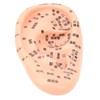 600Pcs Acupressure Ear Beads Massage Acupoint Pressure Stimulation Paste Ear