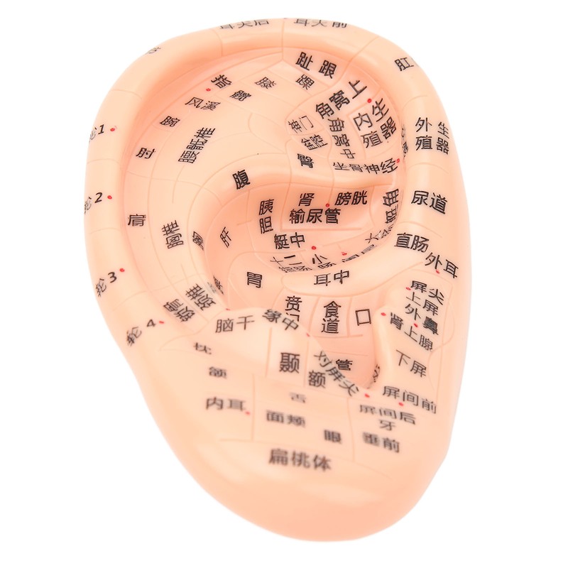 600Pcs Acupressure Ear Beads Massage Acupoint Pressure Stimulation Paste Ear