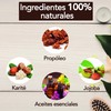 Pack x 3 Organic lip balm 5 g each. Lip