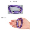 Carabiner 12KN Auto-Lock BRAVESHINE Load Capacity 2,645 lbs (1,200 kg)