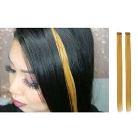 Clip-In Hair Extension Highlights Streaks x 1 (Gold)