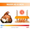 NUGRIART Brooder Heater for Chicks, 10" x 10" for 15