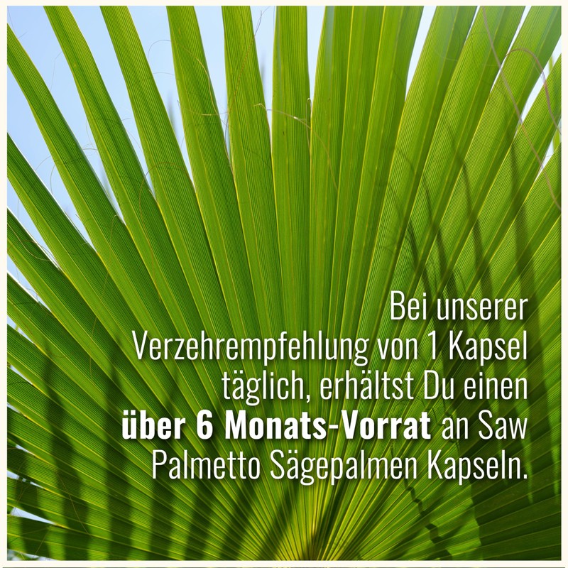 200 Saw Palmetto Capsules High Dose - Saw Palmetto Extract
