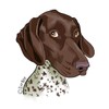 Ivybee Decals German Shorthaired Pointer Color Printed Vinyl Decal 2