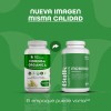 Suplemento Moringa Orgnico 180 Cpsulas De 500 Mg Bulk Superfoods
