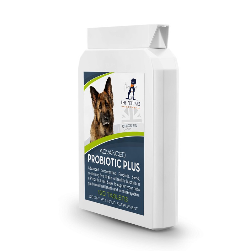 Advanced Probiotic Plus, 5 Powerful Strains of Bacteria in a