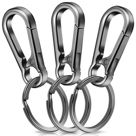 Pack of 3 Carabiner Keyrings, Caianwin Carabiner Hook, Small Metal Key Carabiner, Key Ring with Carabiner for Hanging in Backpack, Car Key