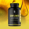Lecitina D Girasol De 180 Cápsulas Sunflower Lecithin B Life