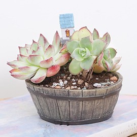 SPEALLOY Easter Bunny Resin Succulent Planter Set of 2 – Cute Spring Decor with Free Mini Cartoon Ornaments (4.3"x3.9"x3.1", Drainage Hole)