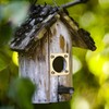 Metal Bird House Guard with Copper Portal for Eastern Bluebird