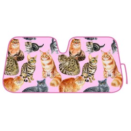 BDK AS-782 Outdoors-Adventure Awaits-Front Windshield Shade-Accordion Folding Auto Sunshade for Car Truck SUV-Blocks UV Rays Sun Visor Protector-Keeps Your Vehicle Cool-58 x 28 Inch