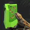 DONGKER Bearded Dragon Feeder,Anti-Escape Lizard Corner Terrarium Bowl with Suction