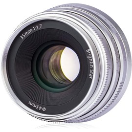 Brightin Star 35mm F1.7 Lens for Sony E Mount Mirrorless Cameras, APS-C Manual Focus Large Aperture Prime Humanistic Lens Fit for ZV-E10, A7IV, A6400,A7SIII, A7III,A6600, A7RIV, A7RIII(Silver)