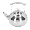 Stainless Steel Teapot Tea Kettle with Removable Filter High Temperature