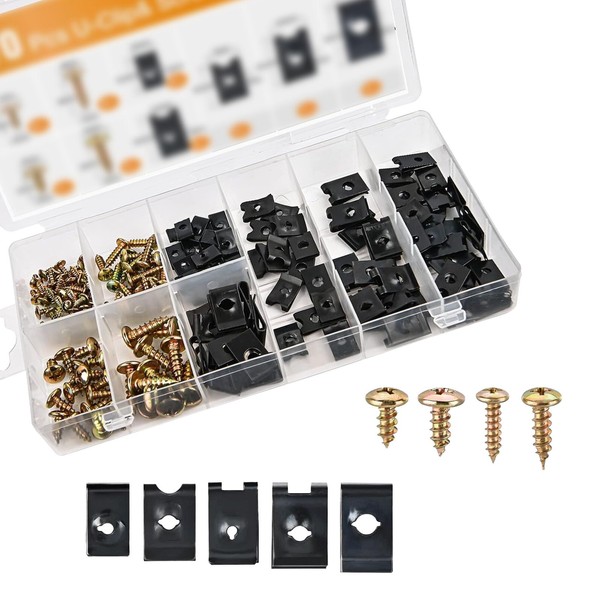 Irinidig 170 PCS Car Screw Assortment Kit, Multi-Functional Metal U