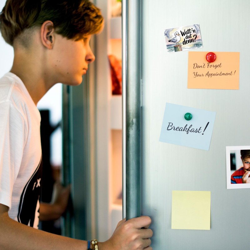 Seagull Watercolour Souvenir Magnet Watt'n Dat Denn? Funny Souvenir Magnet