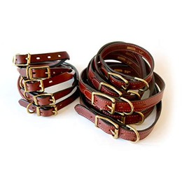 Mendota Standard Collar- Chestnut, Wide (1 in. x 20 in, Chestnut)