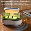 Irishom Raindrop Humidifier Machine LED Lights Drip Music Bedroom (US
