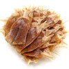 Plume (torso only), For Commercial Use, 17.6 oz (500 g),