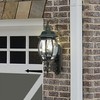 Nuvo Lighting 60/890 Traditional Three Light Outdoor Wall Mount from