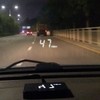 3.5" Car HUD Head Up Display with OBD2/EUOBD Interface Plug