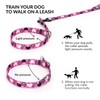 Haoyueer Training Dog Collar - No Pull Martingale, Slip With