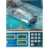 ZEZEFUFU 0-50° Measurement RC Fixed Wing Plane Model Inclinometer Aileron