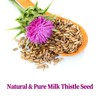 FullChea - Milk Thistle Tea Bags, 100 Count - Natural