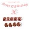 17th Birthday Party Decorations Rose Gold with Happy 17th Birthday