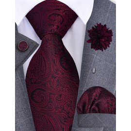 Gusleson Maroon Tie for Men Paisley Wedding Silk Necktie Pocket Square Cufflinks and Lapel Pin Brooch Set (UK6103-11)