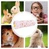 Bunny Tunnels for Rabbits,Pet Playing Sleeping Pipe | Foldable Toy