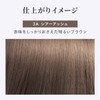 Bigen Foam Cream Color 3A Sheer Ash