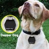 Dapper Dog - Dog Tag Silencer with Tag Ring
