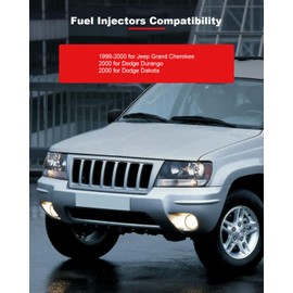 GDSMOTU 8Pcs Powerful Performance 812-12136 Fuel Injectors Compatible for 2000 for Dakota 2door Extended Cab Pickup 4.7L 2000 for Dakota 2door Standard Cab Pickup 4.7L, 2Holes Fuel Injector Kit