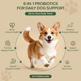 Probiotics for Dogs - Dog Probiotics for Yeast, Itchy Skin and Itchy Ears, Digestive Health, Diarrhea Relief, Gut & Immune Support - with 7 Enzymes, 3 Prebiotics & Omega-3 (Duck 30ct)