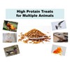 Qinyurj Dried Black Soldier Fly Larvae, High Protein Chicken Treats,5LB