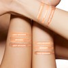FV Natural Bronzer Powder, Long-Lasting & Waterproof, Glow Bronzing Powder,
