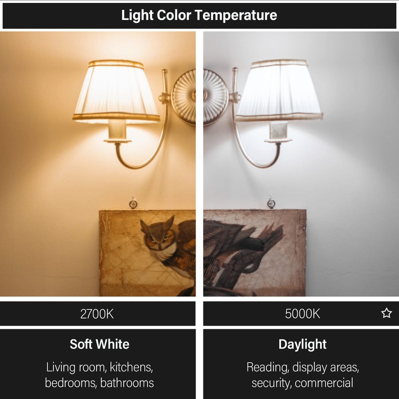 Maelsrlg R14 LED Bulb 4W(40W Equivalent) Mini Reflector Flood Light