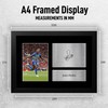 HWC Trading Joao Pedro Brighton & Hove Albion Gifts Printed