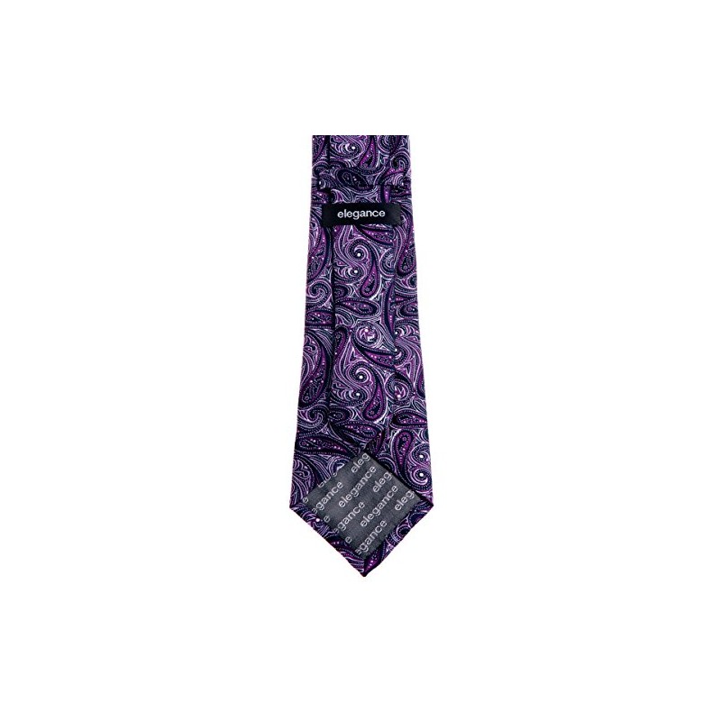 Retreez Elegant Paisley Art Pattern Woven Microfiber 3.15" Men's Tie
