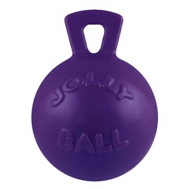 Jolly Pets Tug-n-Toss Heavy Duty Dog Toy Ball with Handle, 6 Inches/Medium, Purple