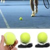 Paifeancodill Tennis Trainer With String - 10 Pcs Training and