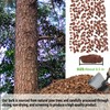 2qt Orchid Bark Horticultural Grade- Natural Mulch for Potted Plants,