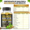 Sea Moss, Black Seed Oil, Ashwagandha, Ginger, Shilajit Gummies with