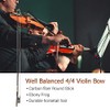 4/4 violín violín Fibra de Carbono Palo Redondo ébano Rana