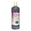 Shampoo Bergamota Y Acondicionador Aceites Nutritivos