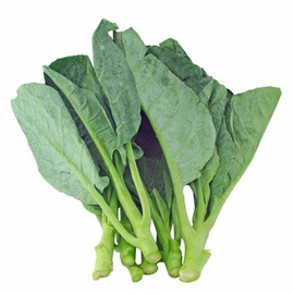 Chinese Cabbage Seeds - Wan Shen - 1 Oz ~7550 Seeds - Non-GMO, Heirloom - Asian Garden Vegetable & Microgreens