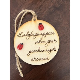 Lady bugs appear when your Guardian angels are near. Grief and Healing ornament or decoration to remind us of those loved and lost