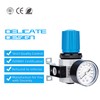 NANPU 3/8" NPT High Pressure Air Regulator with Steel-Protected Gauge,