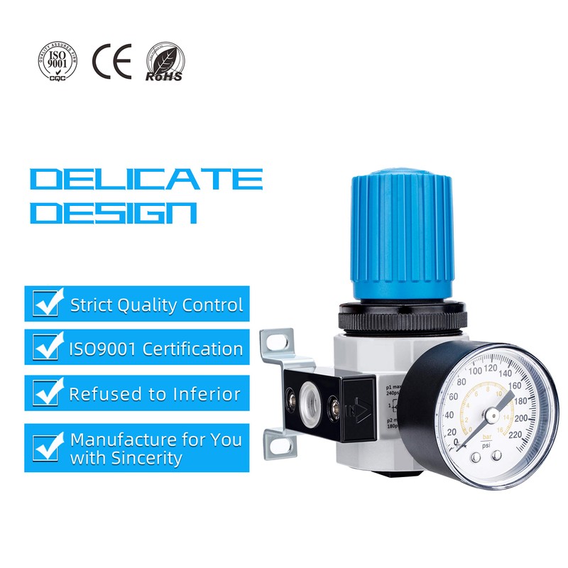 NANPU 3/8" NPT High Pressure Air Regulator with Steel-Protected Gauge,